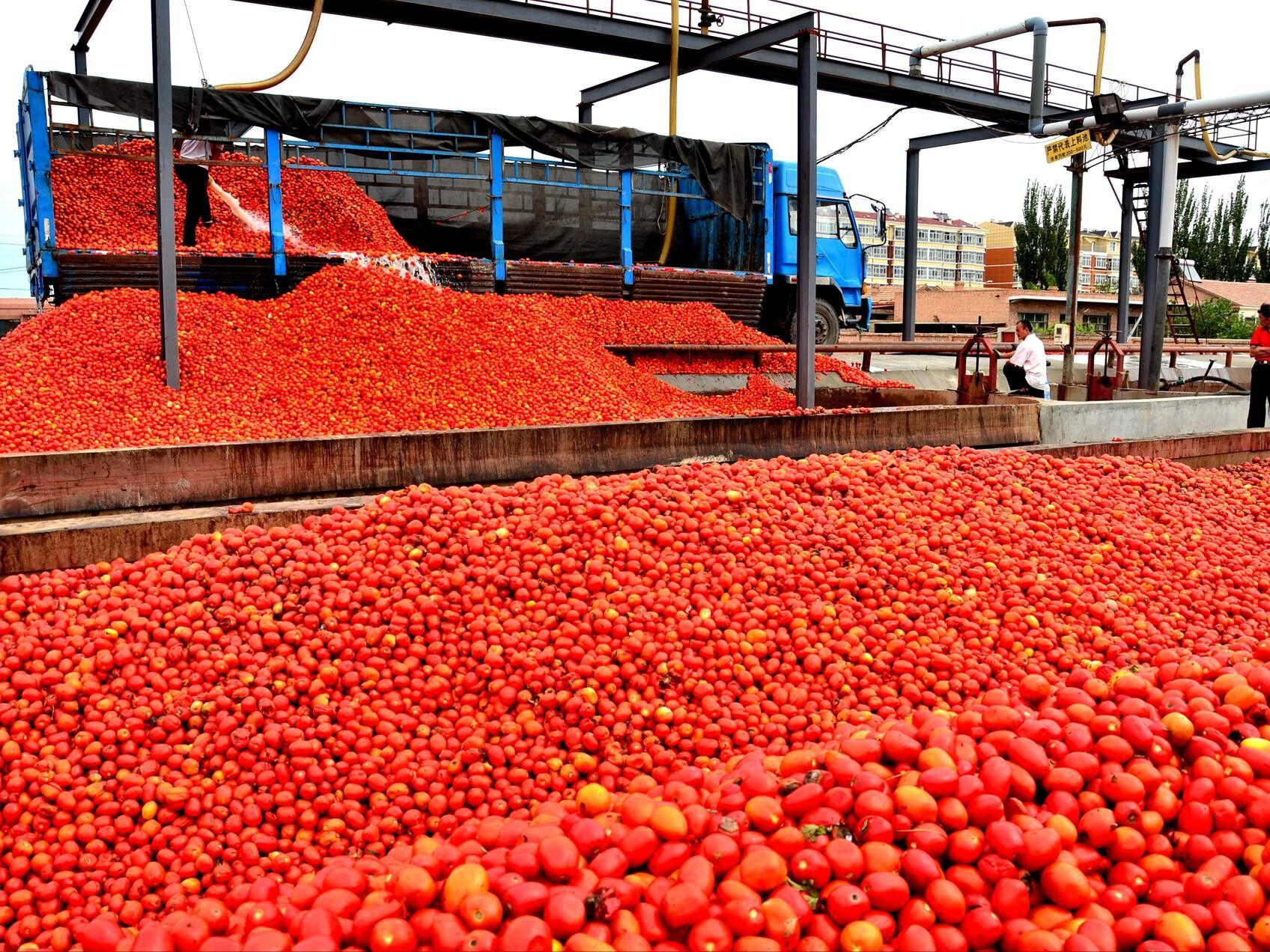Canned Diced Tomatoesdetial (3)