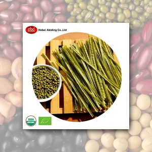 Wholesale Organic Bean Pasta