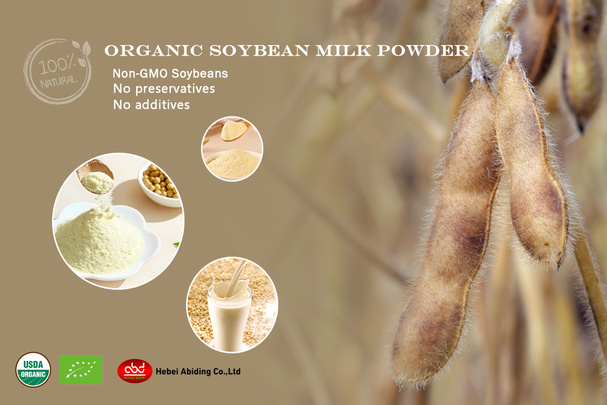 Soybean Milk Powder Production Stage 1
