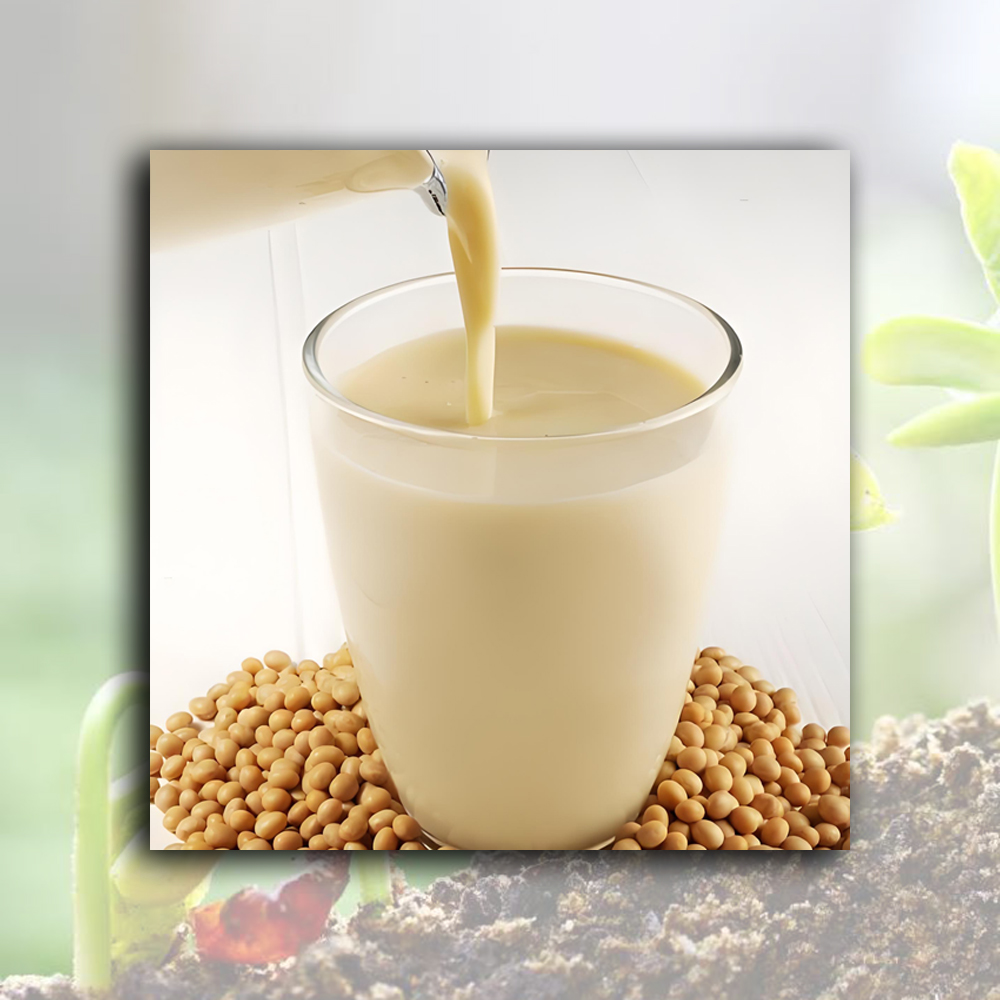 High-Quality Steamed Soybean Powder（Flour） Manufacturers, Exporter
