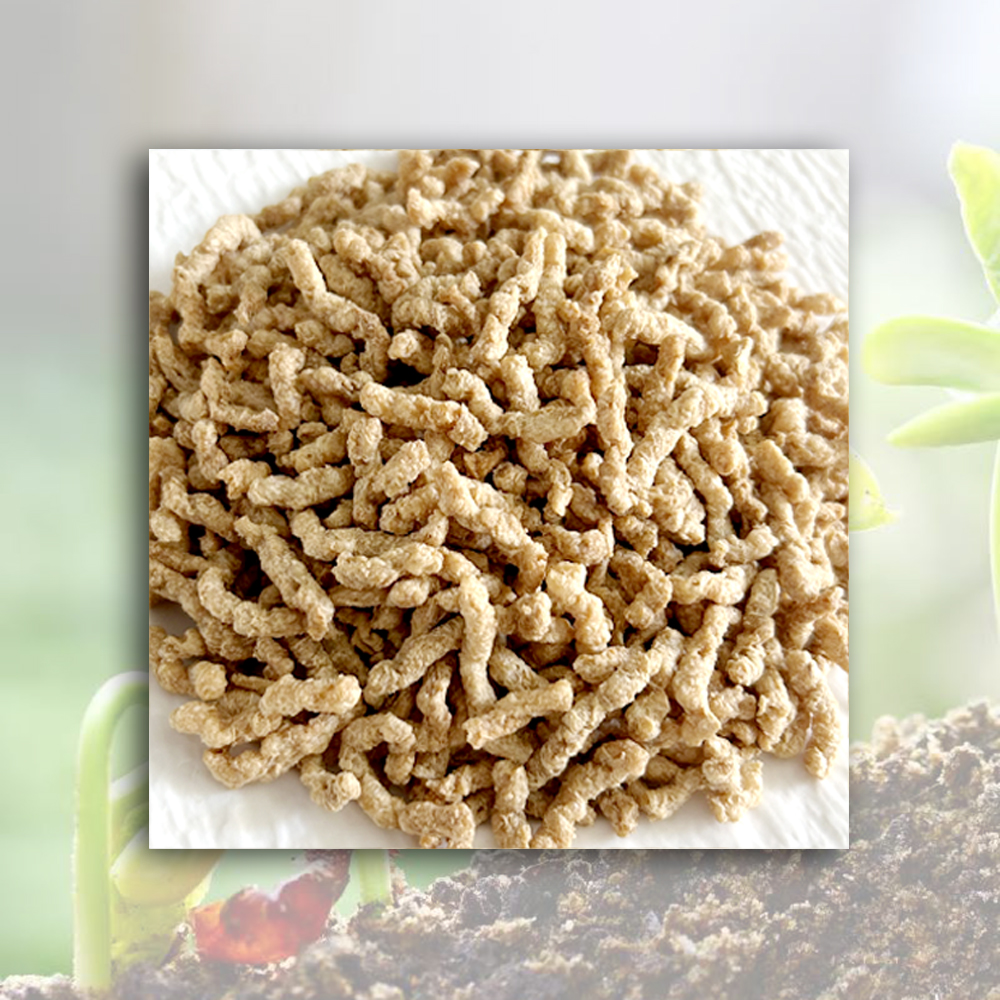 Cheap Textured Soy Protein (TVP)  Manufacturer, Manufacturers