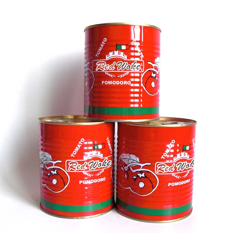 Tomato Paste Production 1