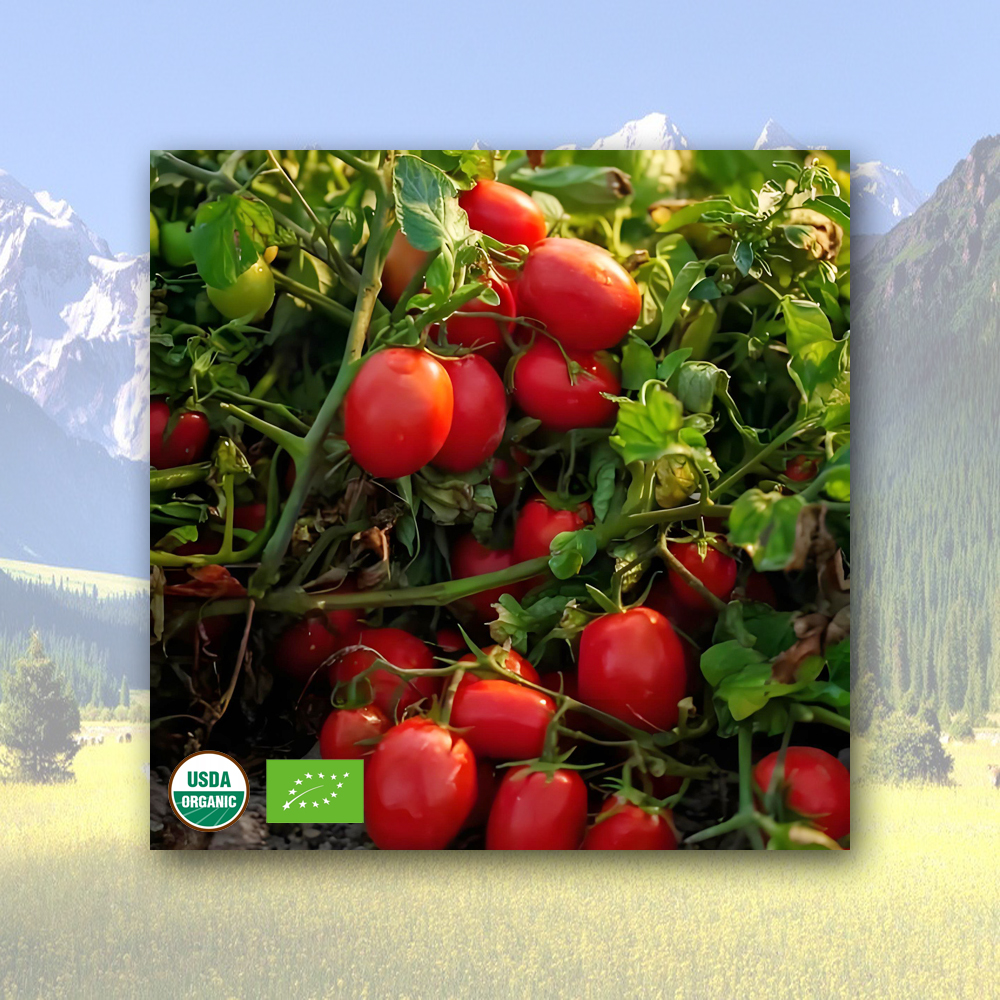 Wholesale Organic tomato paste Manufacturer, Factories