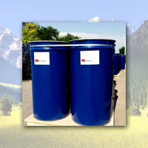 Cheap Tomato Paste In drums Manufacturer, Factory