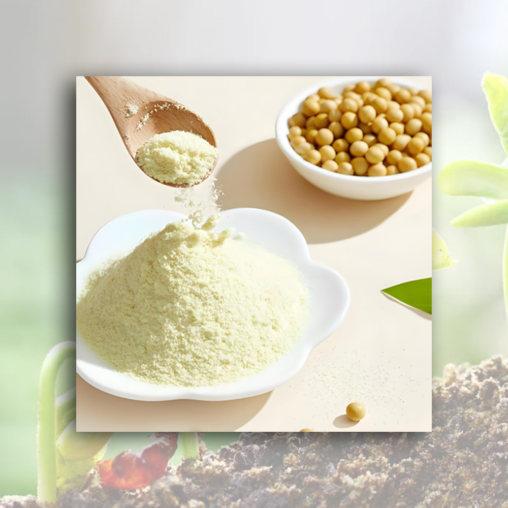 Wholesale Soybean milk powder Manufacturer, Factory