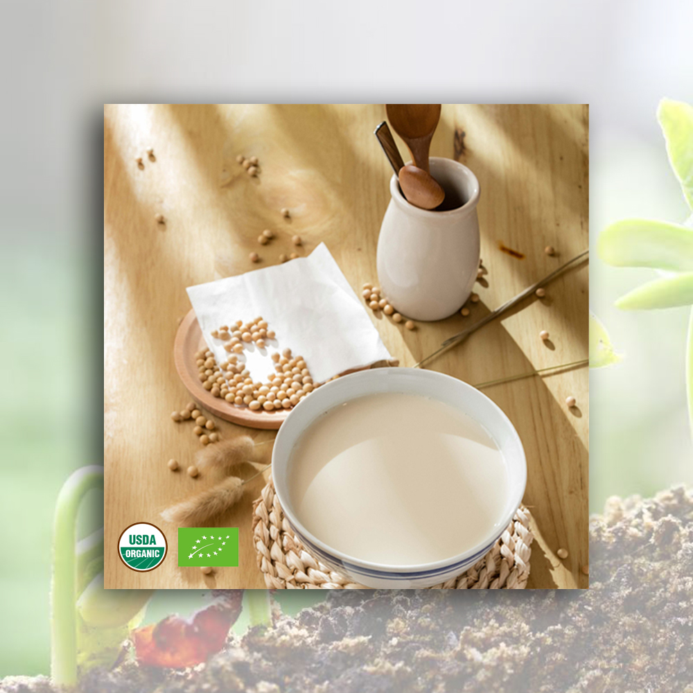 High-Quality Organic Soybean Milk Powder Manufacturers, Exporter