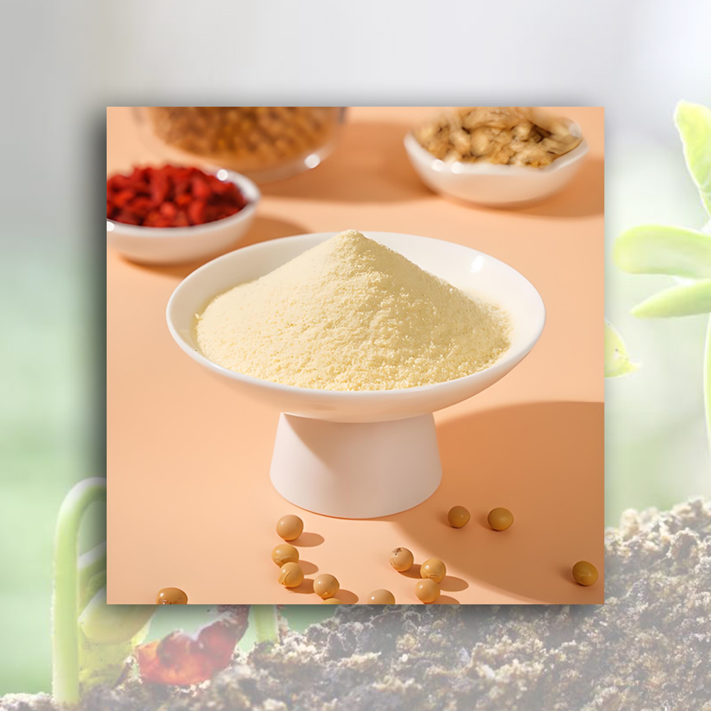 Wholesale Soybean milk powder Manufacturer, Factory