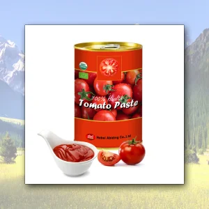 Wholesale canned tomato paste