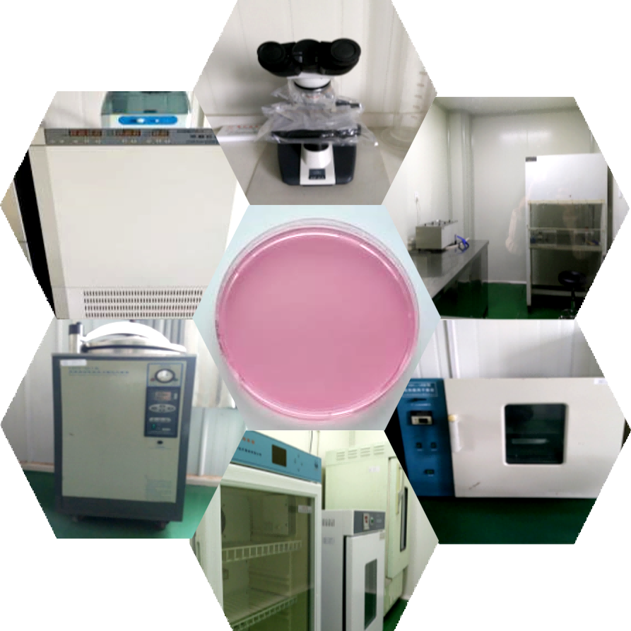 Peach Juice Processing Stage