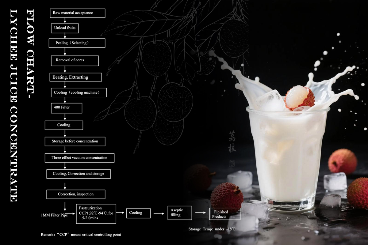 Lychee Concentrated Juice Gallery 2