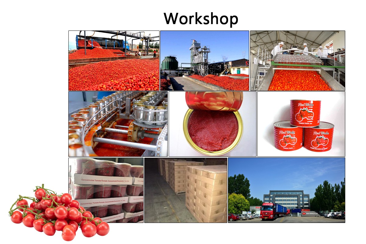 workshop