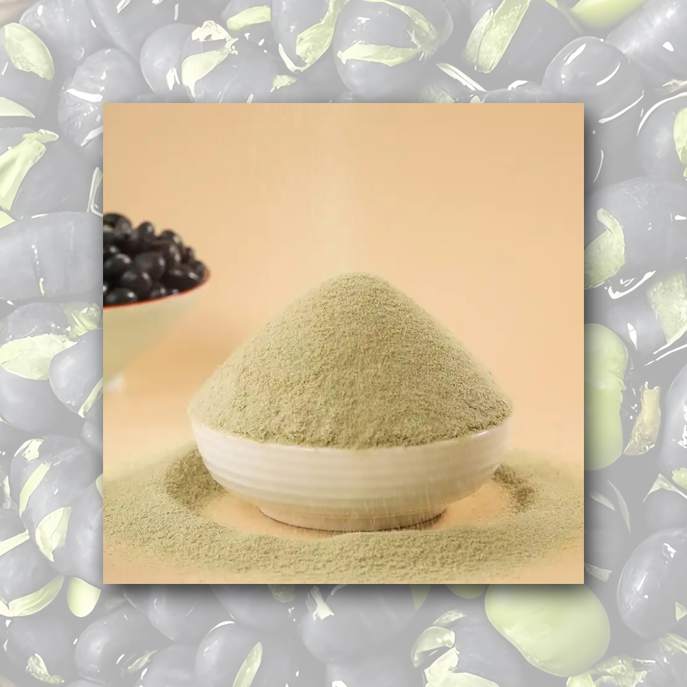 High-Quality Black Bean Milk Powder Exporter, Exporters