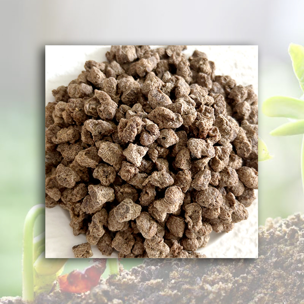 Cheap Textured Soy Protein (TVP)  Manufacturer, Manufacturers