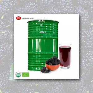 High-Quality Organic Mulberry Juice Conentrate Manufacturer, Factories