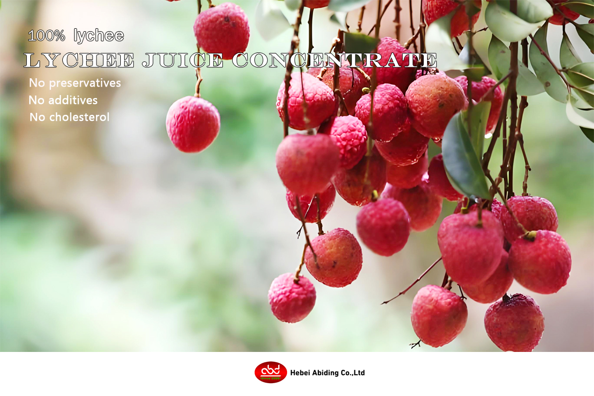Lychee Concentrated Juice Gallery 1