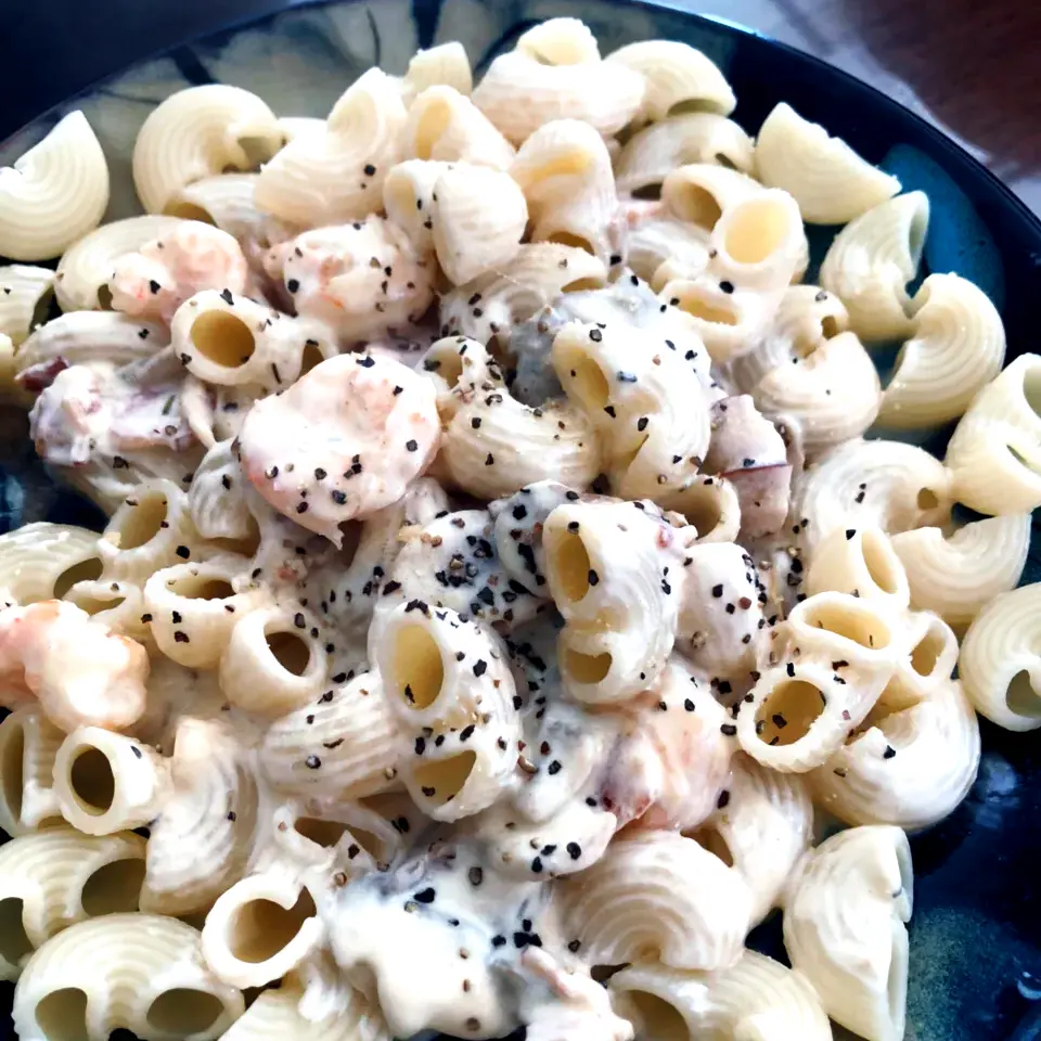 Organic Bean Pastas (1)