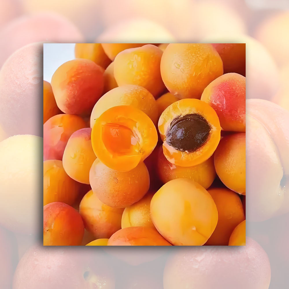 Cheap Apricot puree concentrate Manufacturer, Exporters