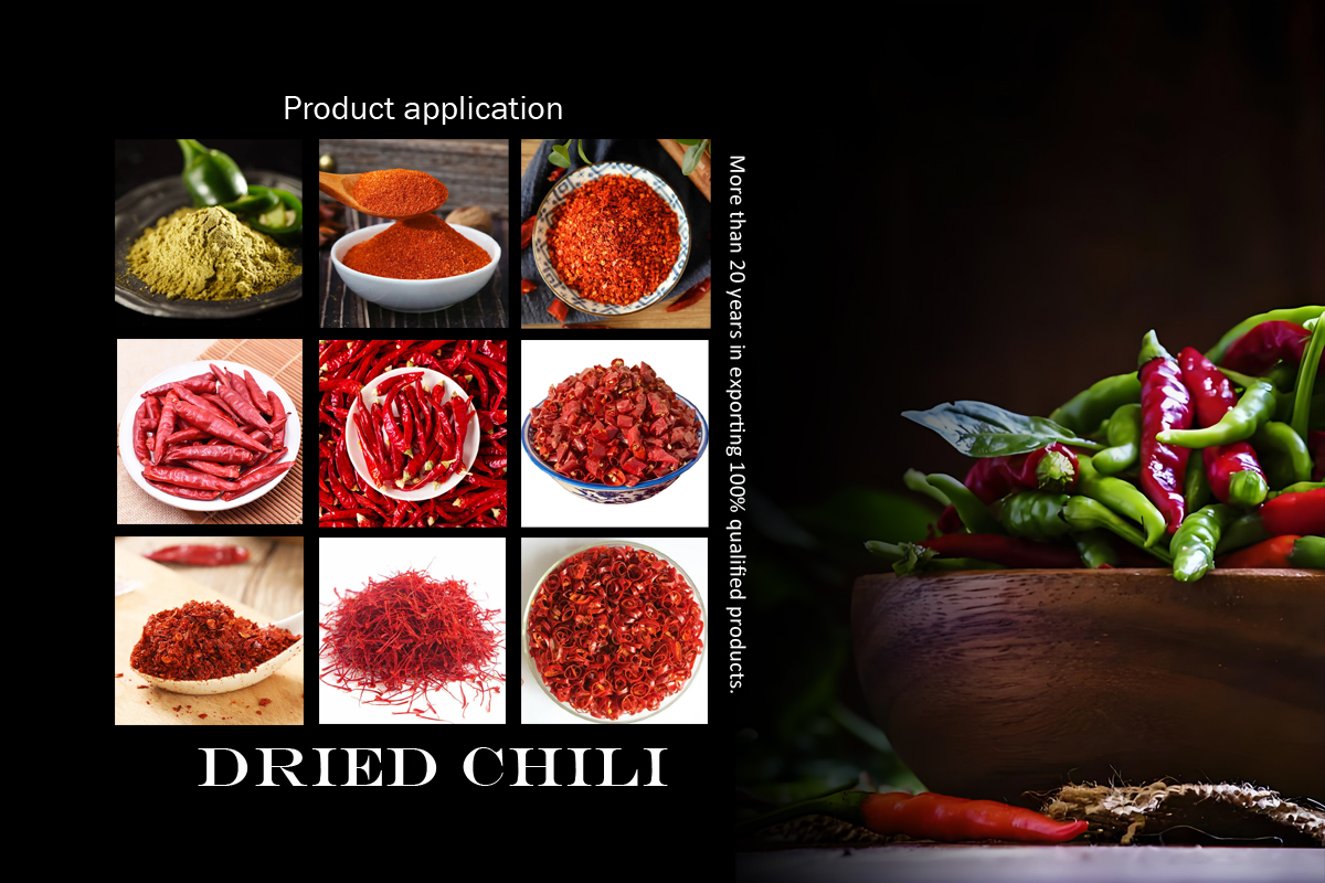 Chili Product Showcase 3