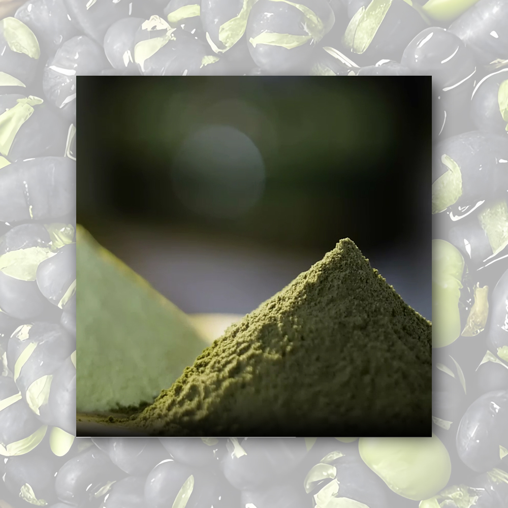 High-Quality Black Bean Milk Powder Exporter, Exporters
