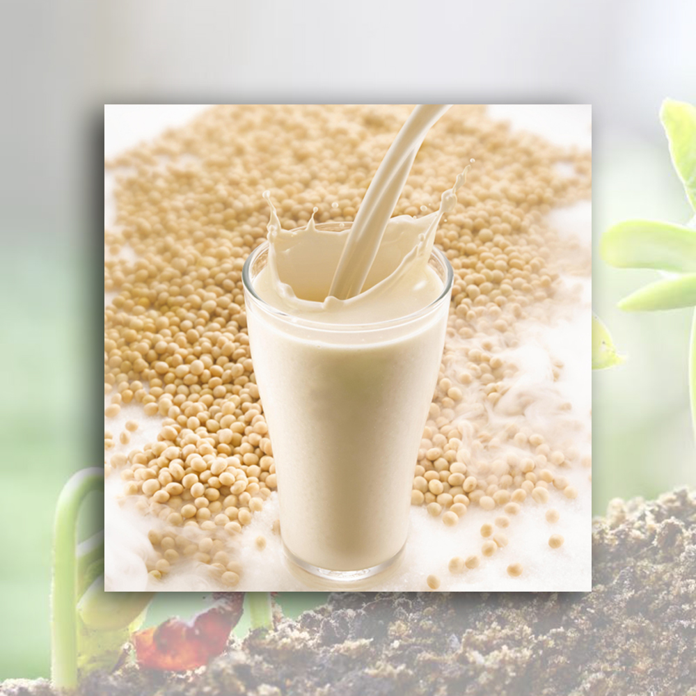 Wholesale Soybean milk powder Manufacturer, Factory
