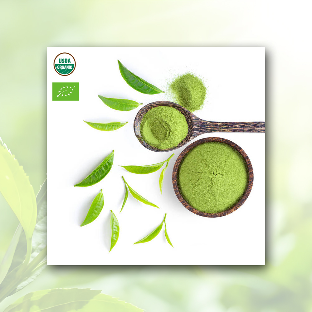 High-Quality Matcha Powder Manufacturer, Exporter