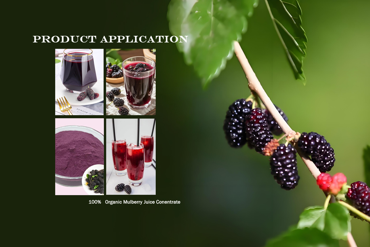 Mulberry Juice Processing Details
