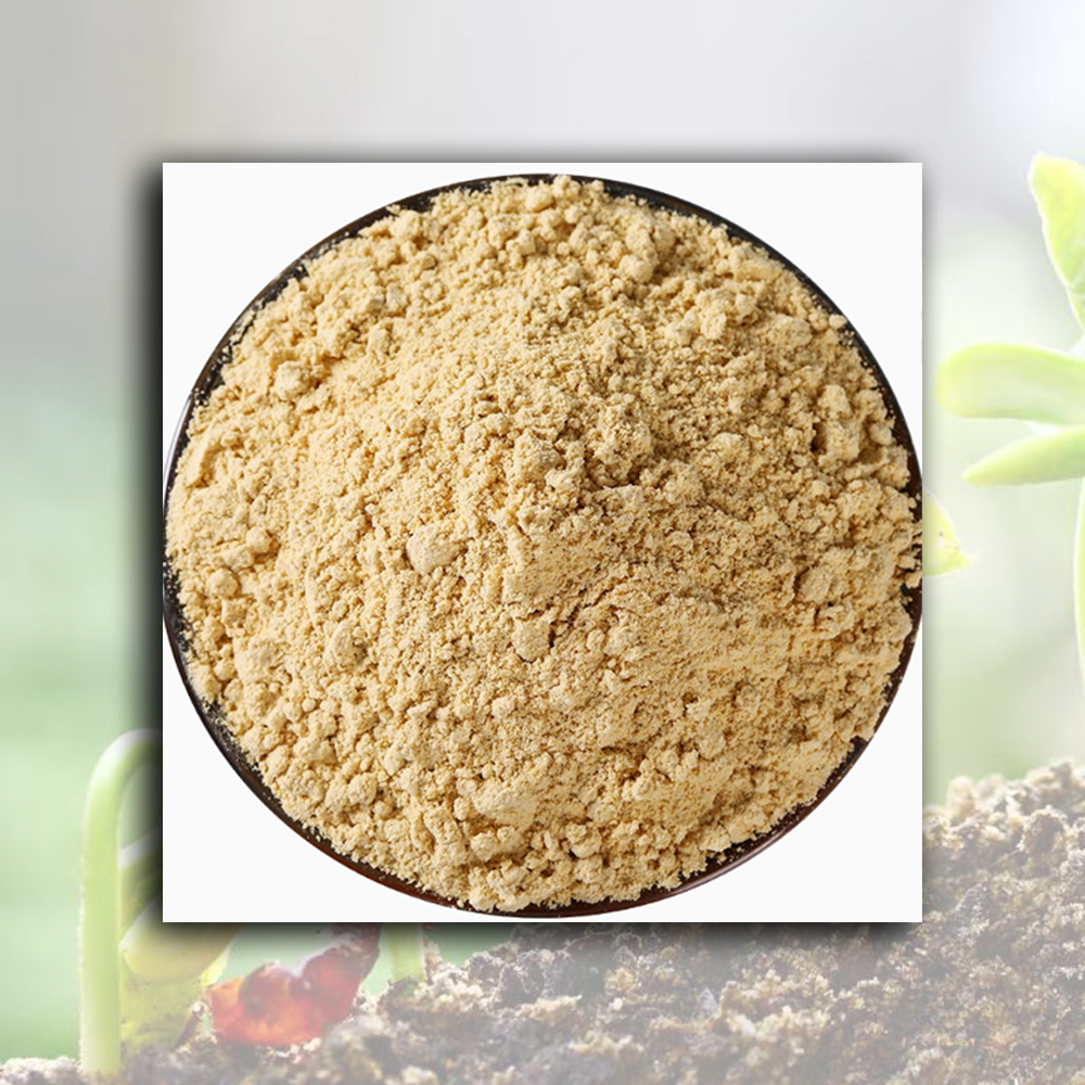 High-Quality Roasted Soybean Powder（Flour） Manufacturers, Factory