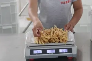 Organic Bean Pasta (3)