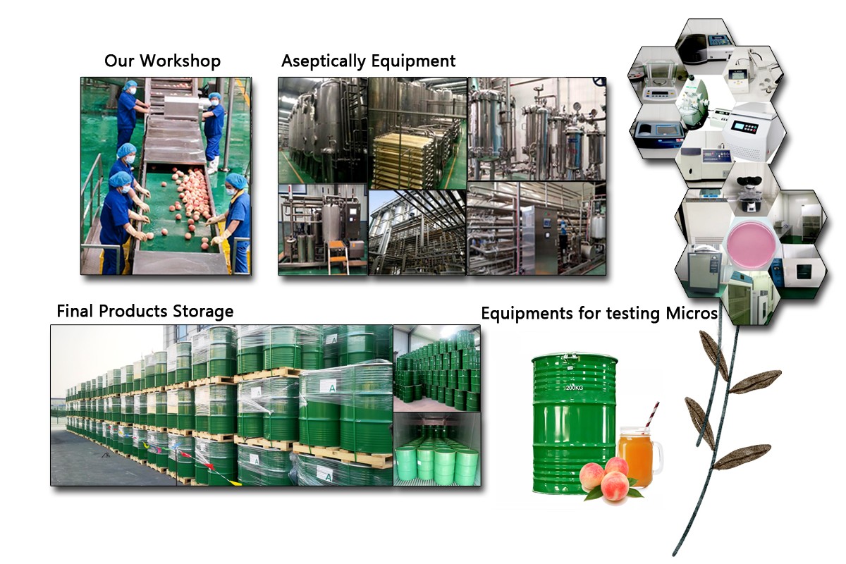 Juice Concentrate Application 3