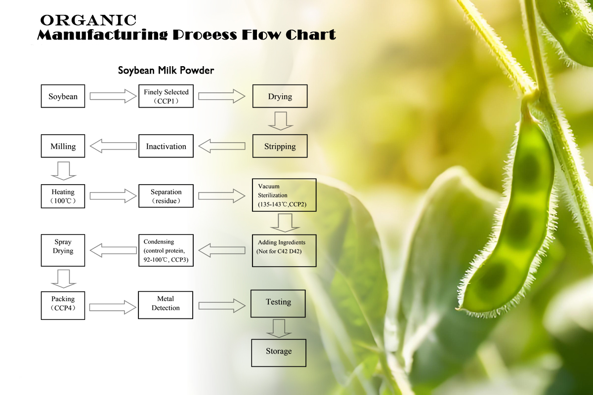 Soybean Milk Powder Production Stage 2
