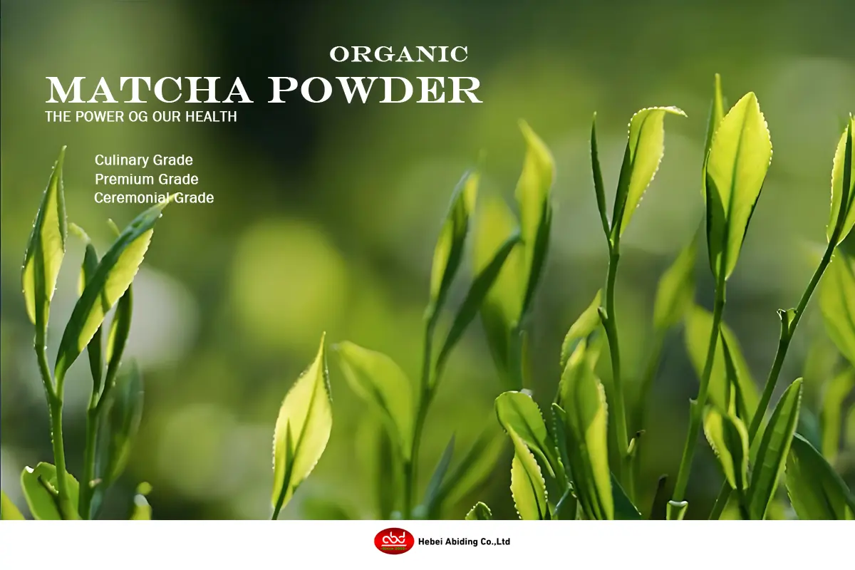 Matcha Powder