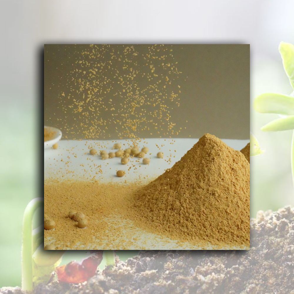 High-Quality Roasted Soybean Powder（Flour） Manufacturers, Factory