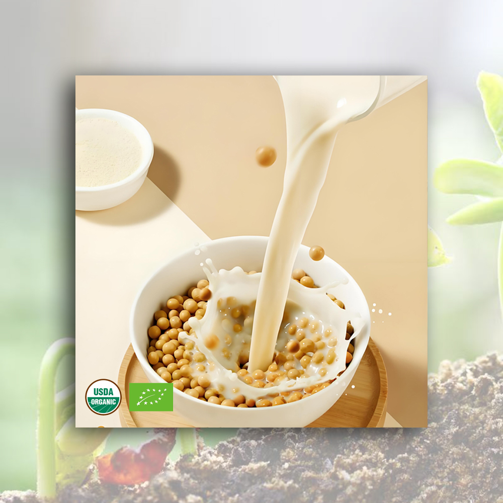 High-Quality Organic Soybean Milk Powder Manufacturers, Exporter