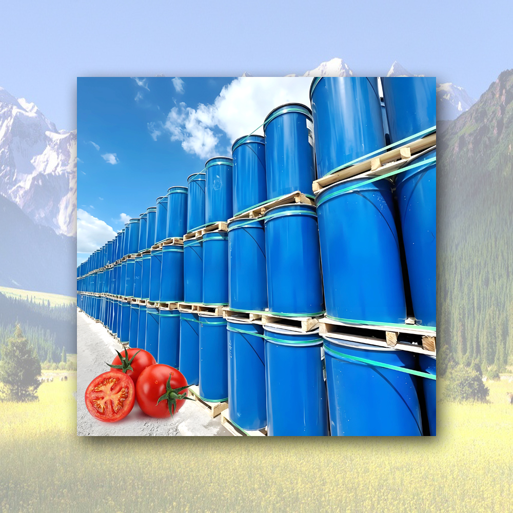 Cheap Tomato Paste In drums Manufacturer, Factory