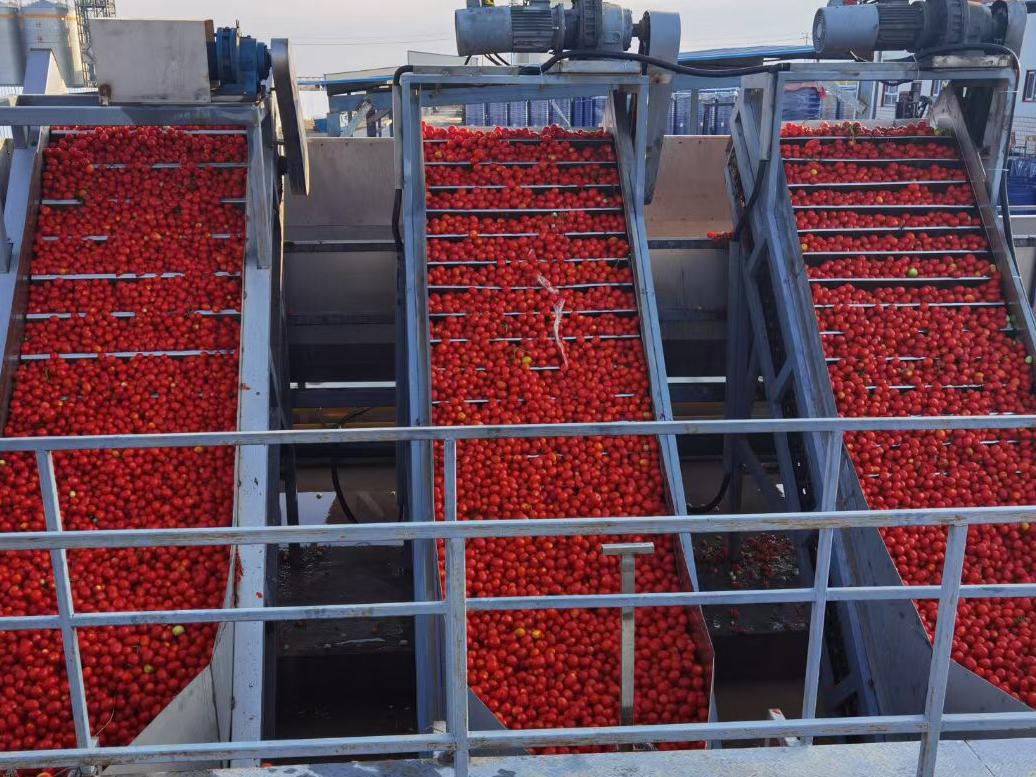 Processing Facility 3