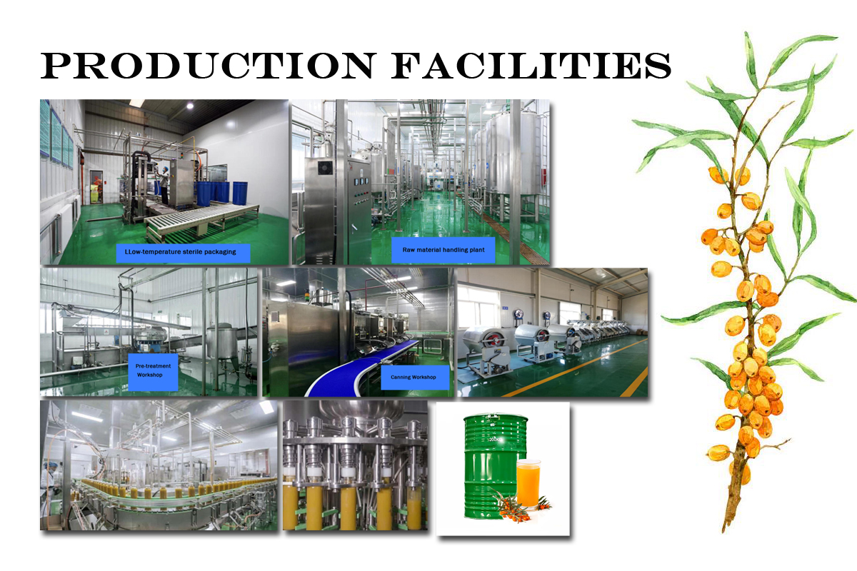 Sea-buckthorn process