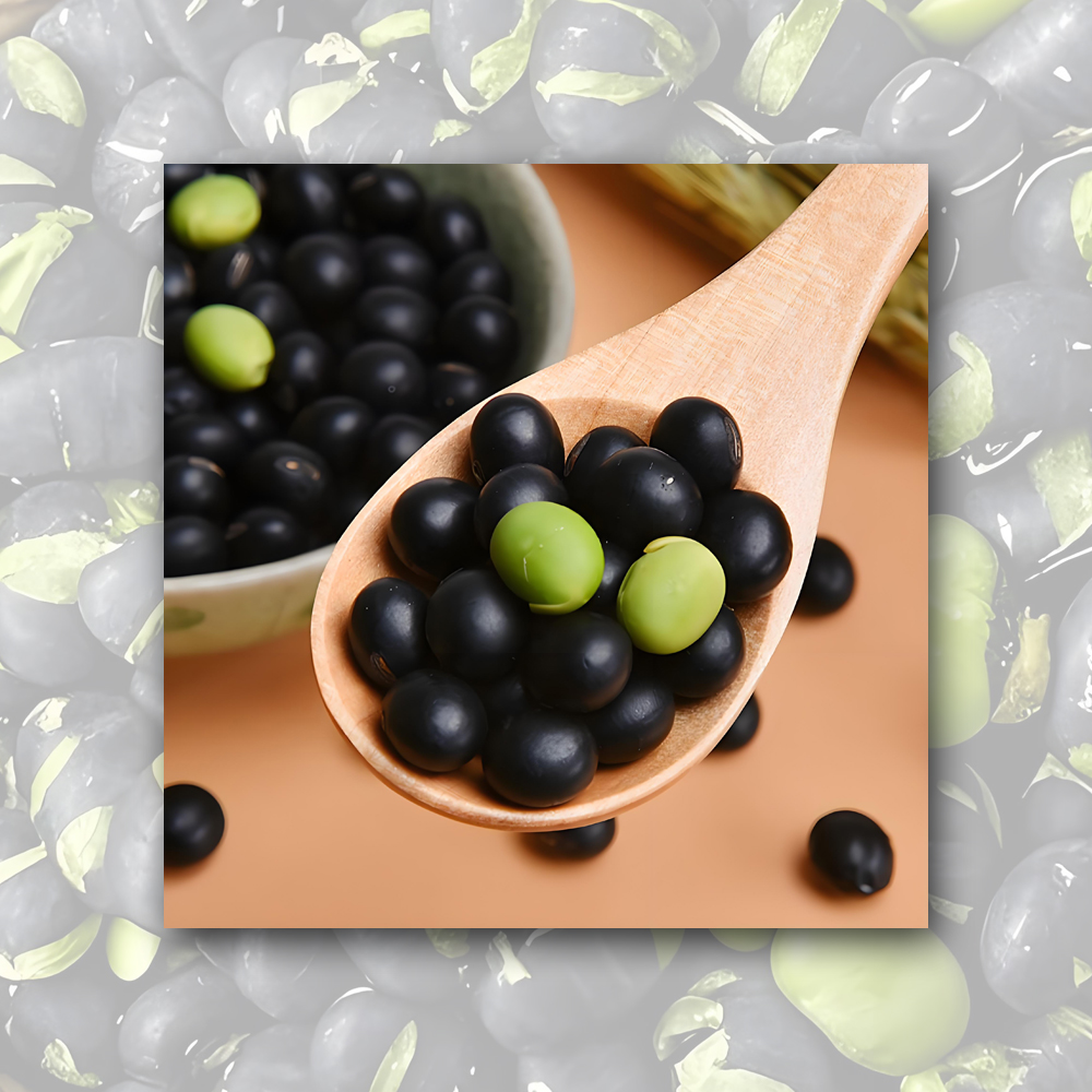 High-Quality Black Bean Milk Powder Exporter, Exporters
