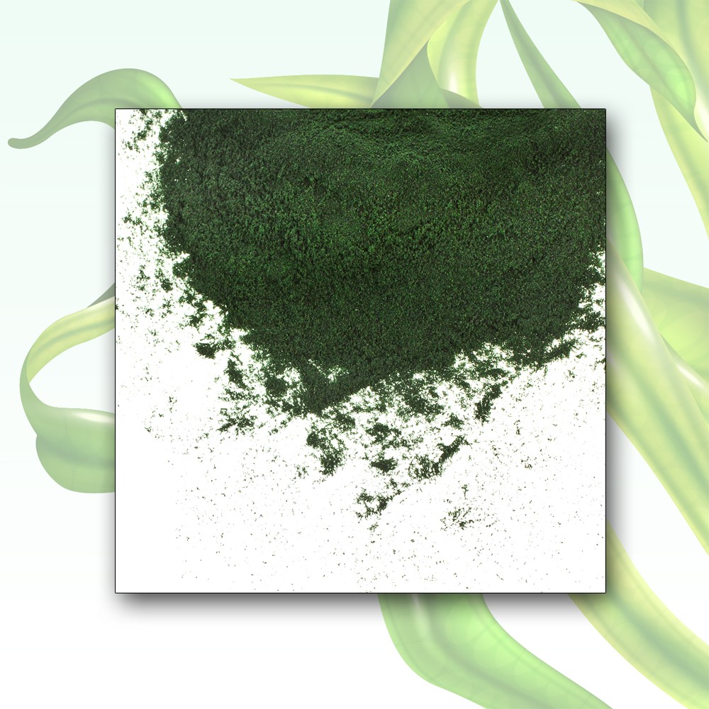 Wholesale Organic Spirulina Powder Exporter, Exporters