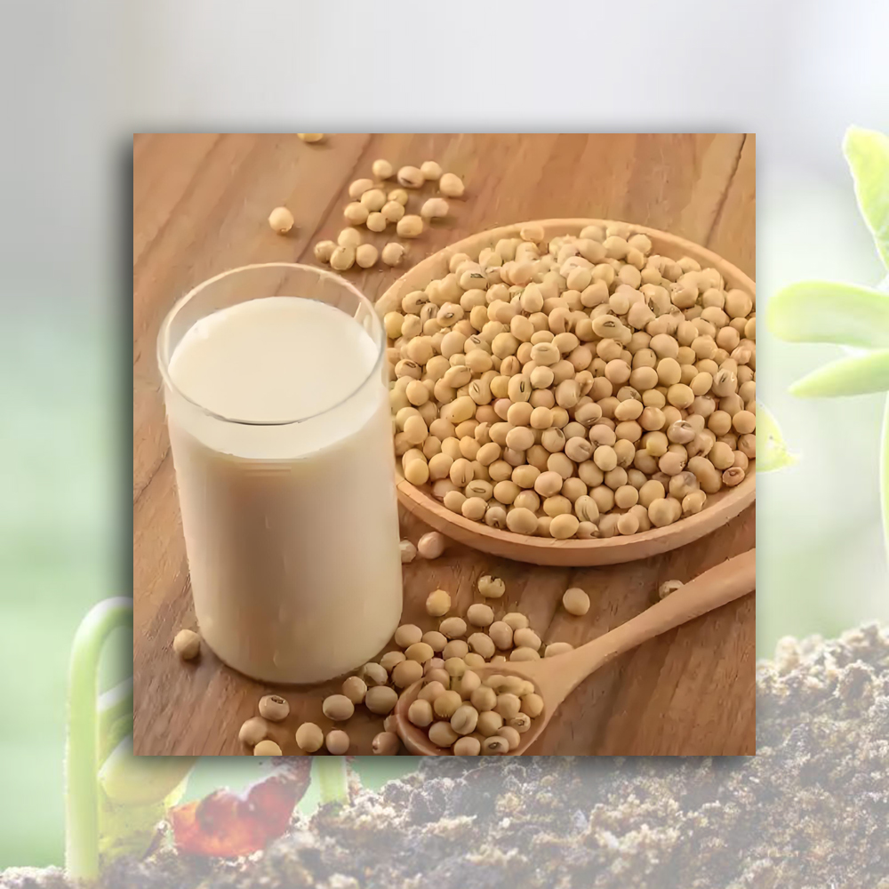 High-Quality raw soybean flour Manufacturers, Factories