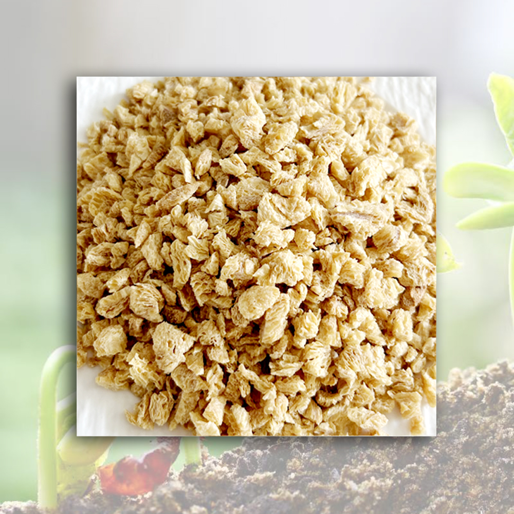 Cheap Textured Soy Protein (TVP)  Manufacturer, Manufacturers