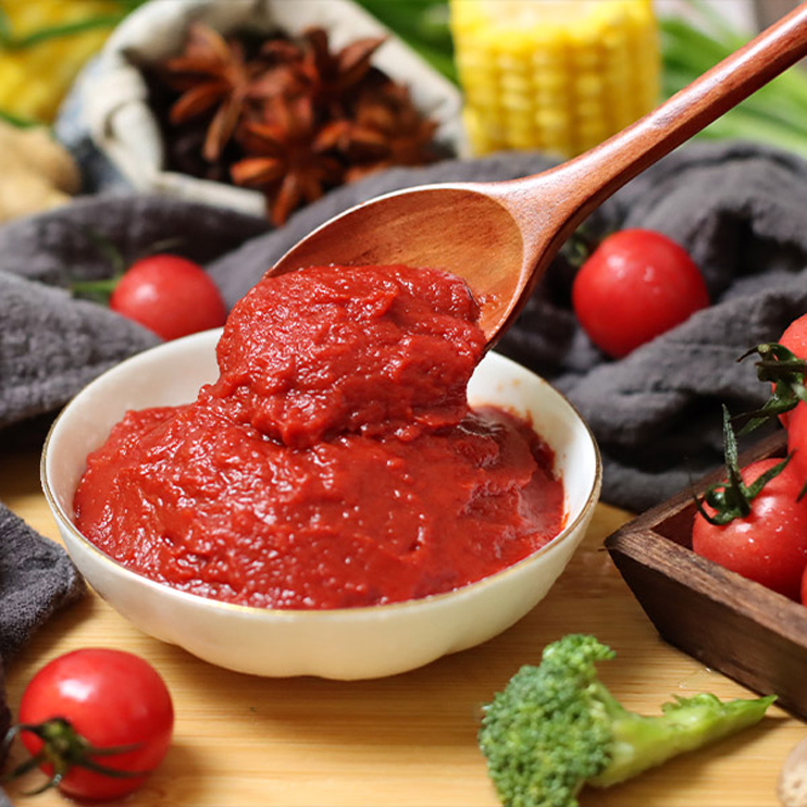 Tomato Paste Production 6