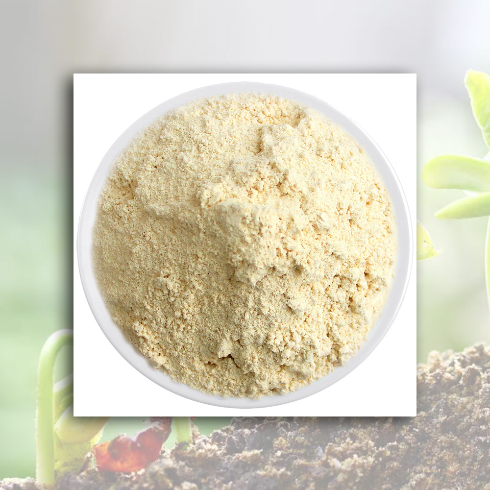 High-Quality raw soybean flour Manufacturers, Factories