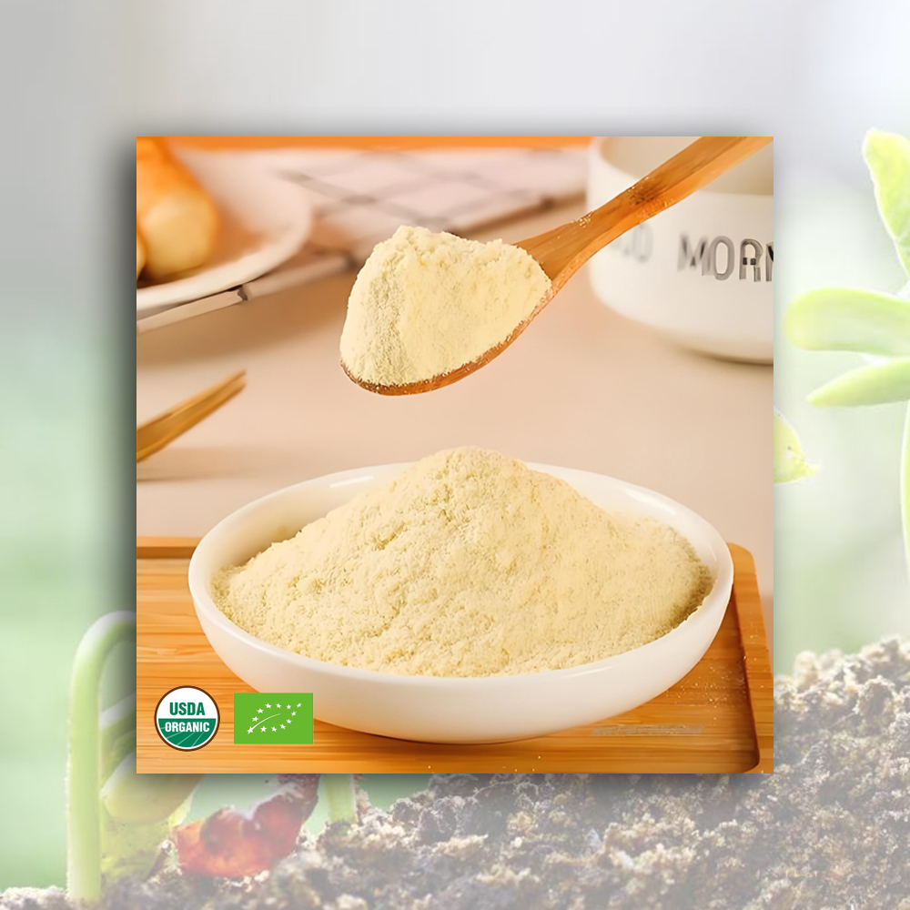 High-Quality Organic Soybean Milk Powder Manufacturers, Exporter