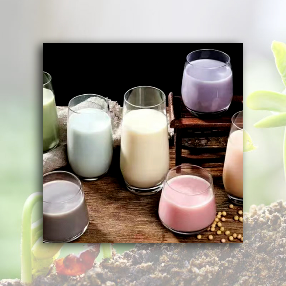 Wholesale Flavored Soymilk Powder Manufacturers, Factory
