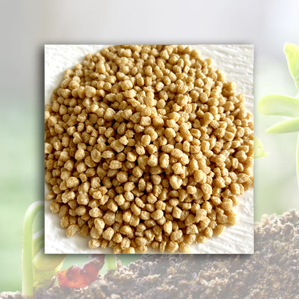 Cheap Textured Soy Protein (TVP)  Manufacturer, Manufacturers