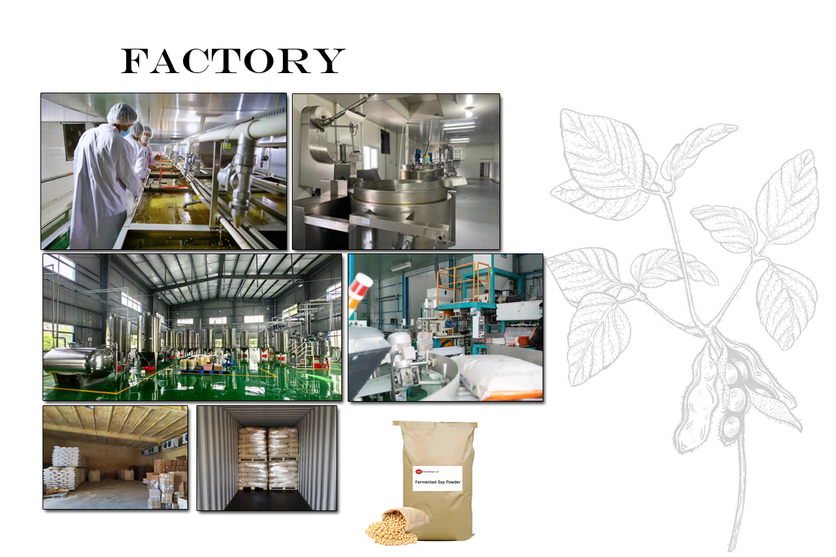 Fermentation Process Details
