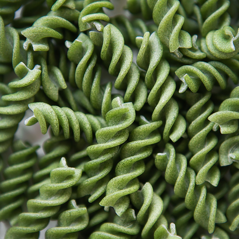 Raw green fusilli pasta