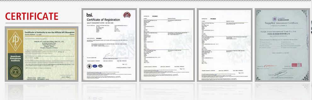 Standards Logo