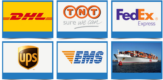 Shipping Logistics Ready