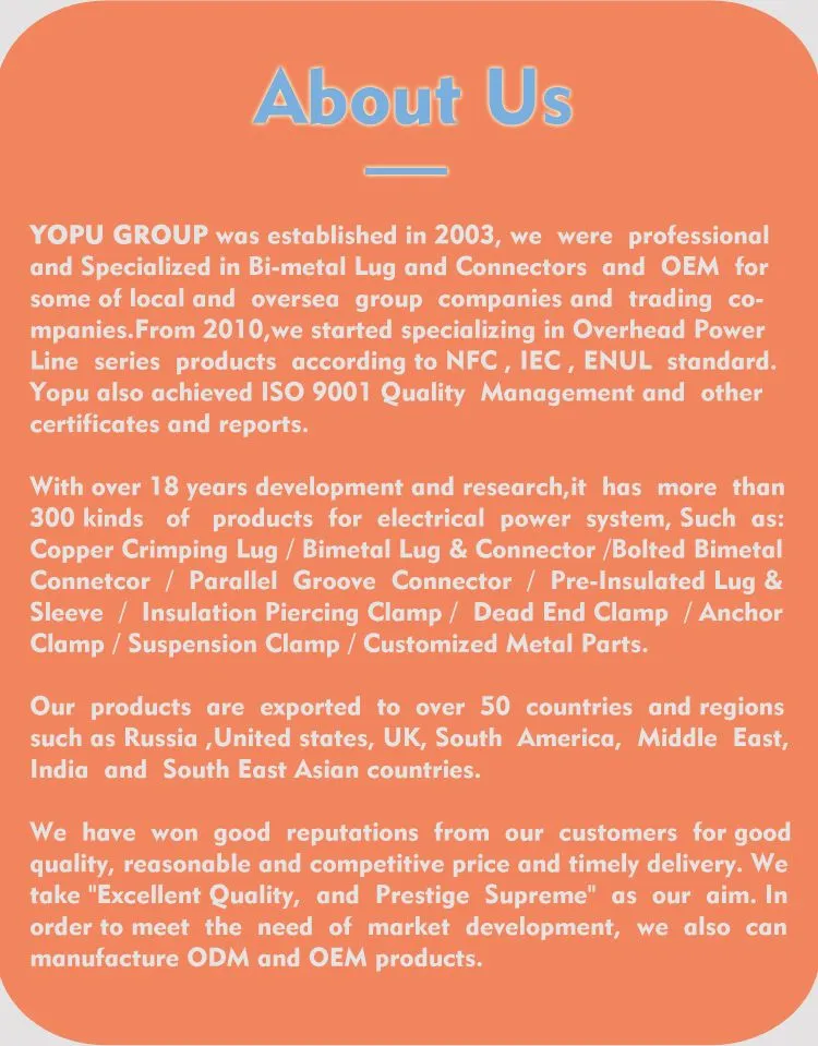 Company Overview